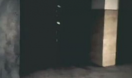 国产精www,传承与创新的中国文化瑰宝